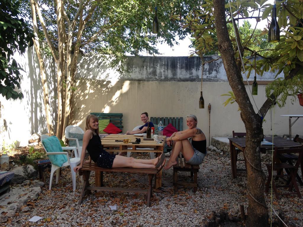 Akasha Hostel Mérida Dış mekan fotoğraf