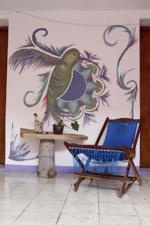 Akasha Hostel Mérida Dış mekan fotoğraf