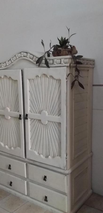Akasha Hostel Mérida Dış mekan fotoğraf